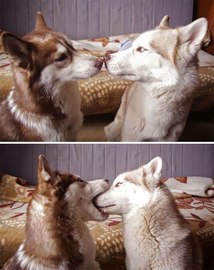 Donne-moi un baiser
