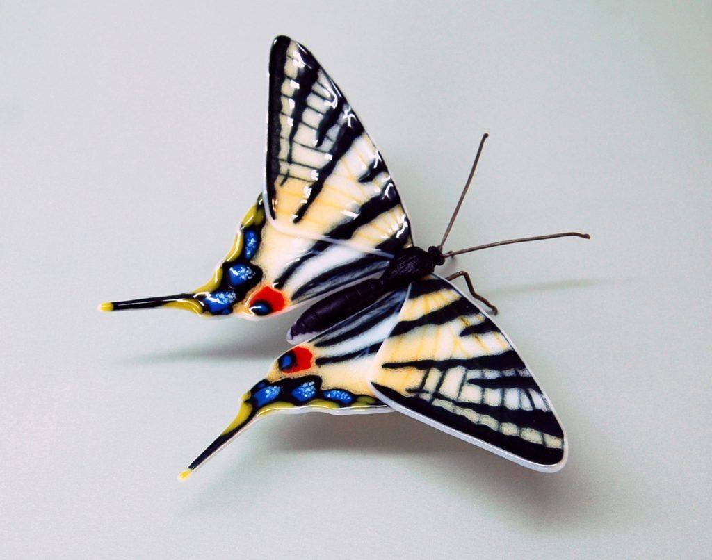 papillons rares