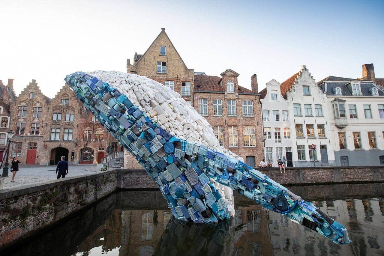 baleine de 18 mètres