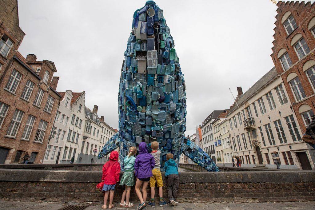 baleine de 8 mètres