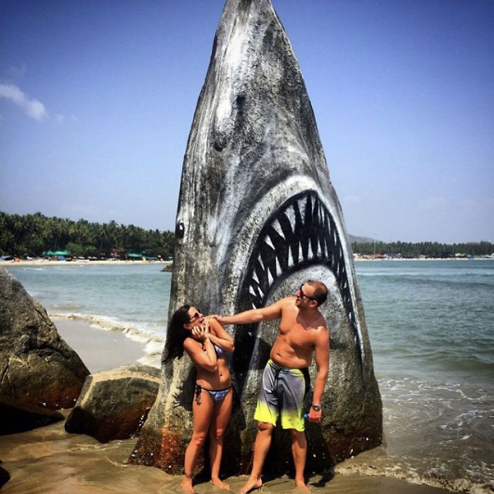 spectaculaire grand requin blanc