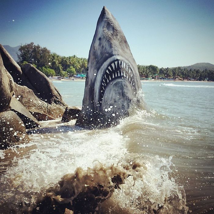 spectaculaire grand requin blanc