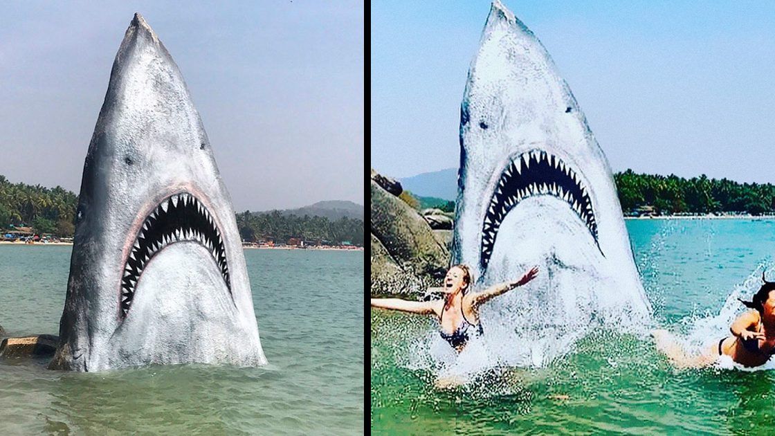 Il Transforme Un Rocher En Un Spectaculaire Grand Requin Blanc