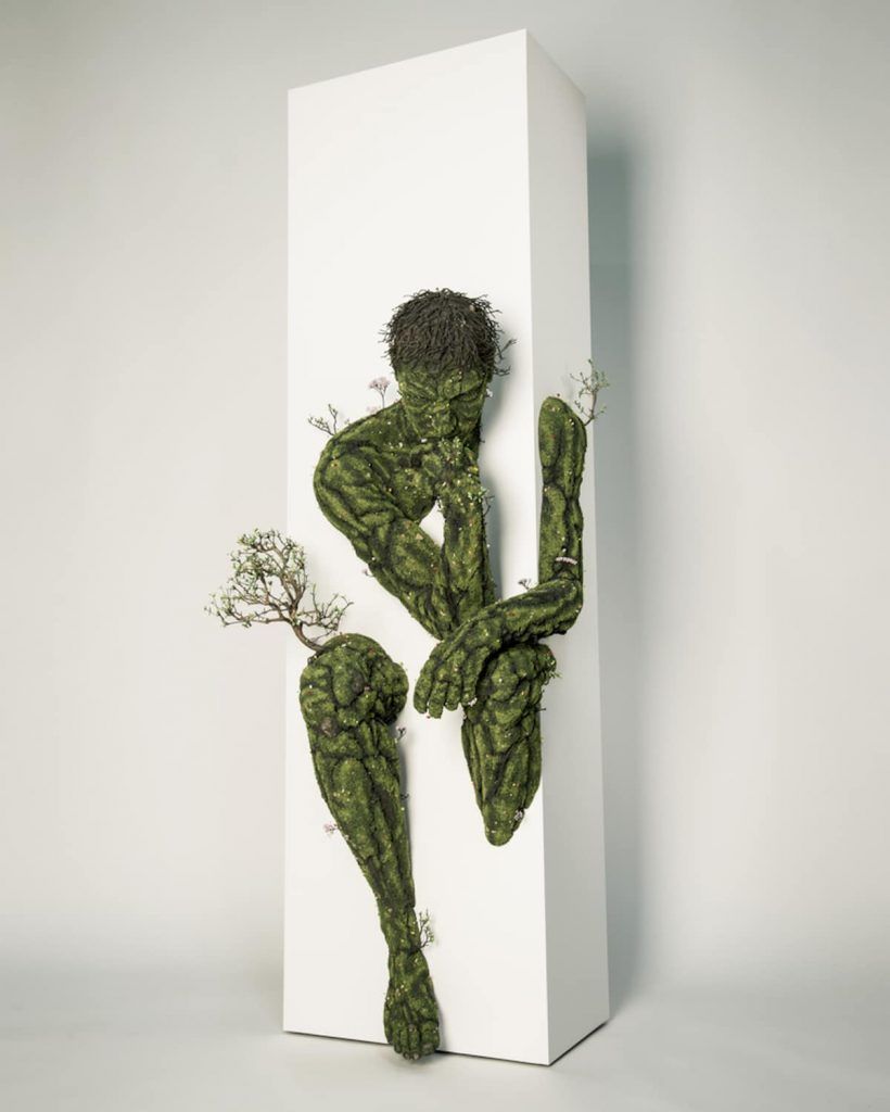 sculptures de plantes