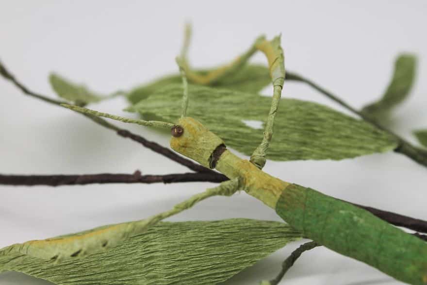 insectes en papiers