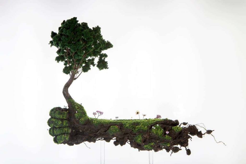 sculptures de plantes