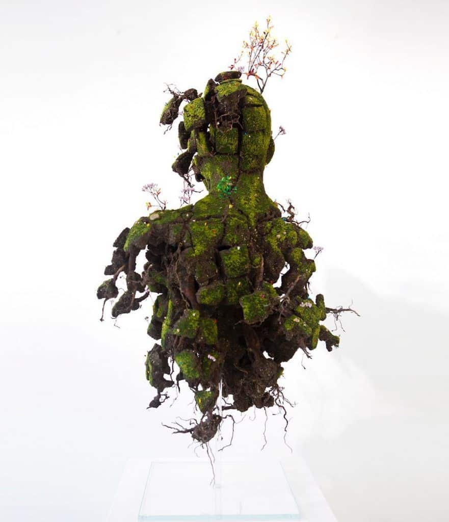 sculptures de plantes