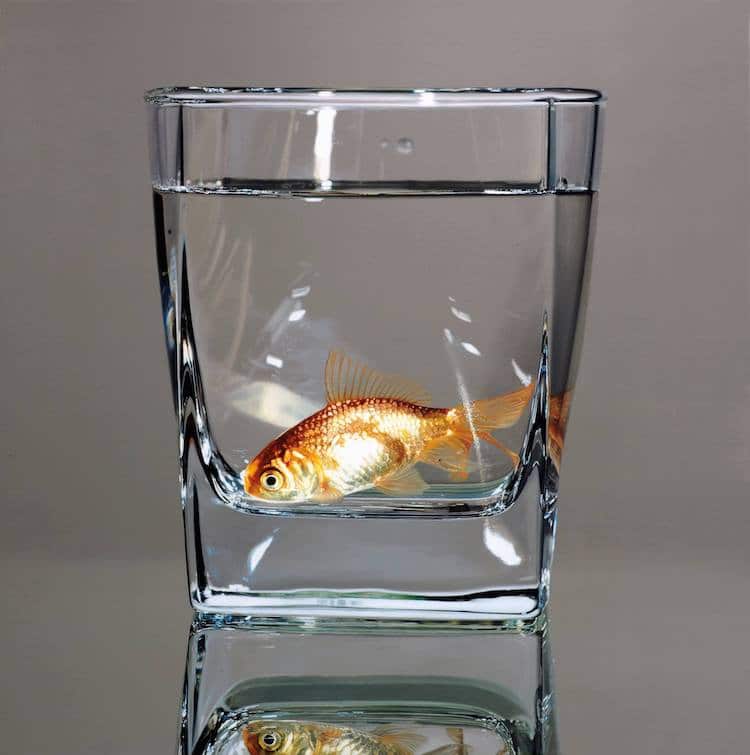 poissons emprisonnés dans des bols