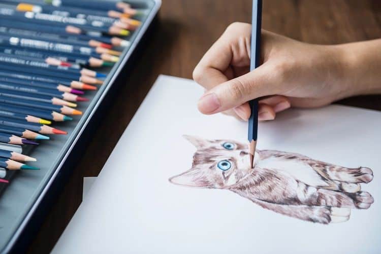 dessiner parfaitement votre chat 