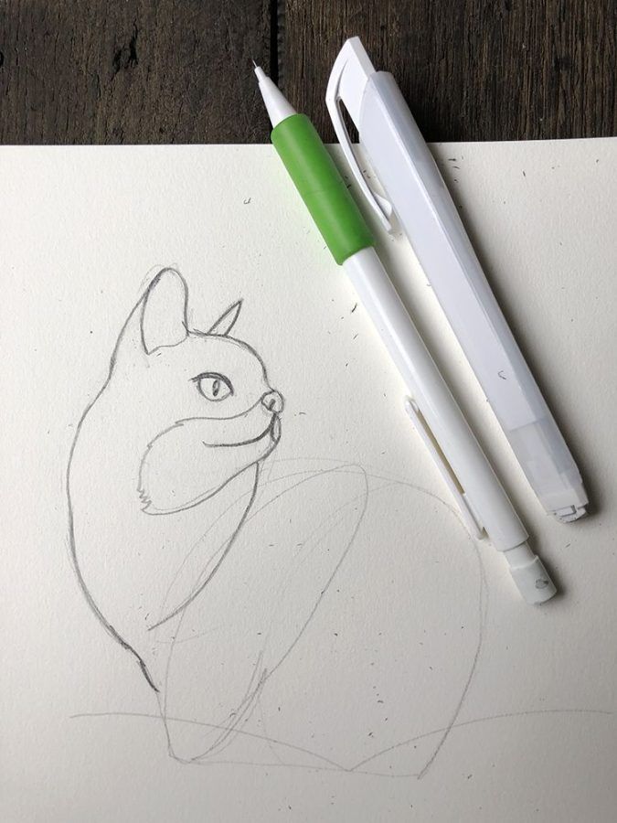 dessiner parfaitement votre chat