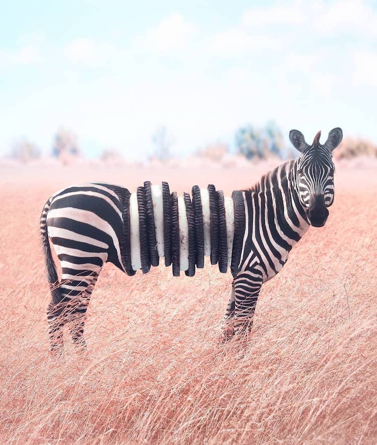 animaux avec de la nourriture