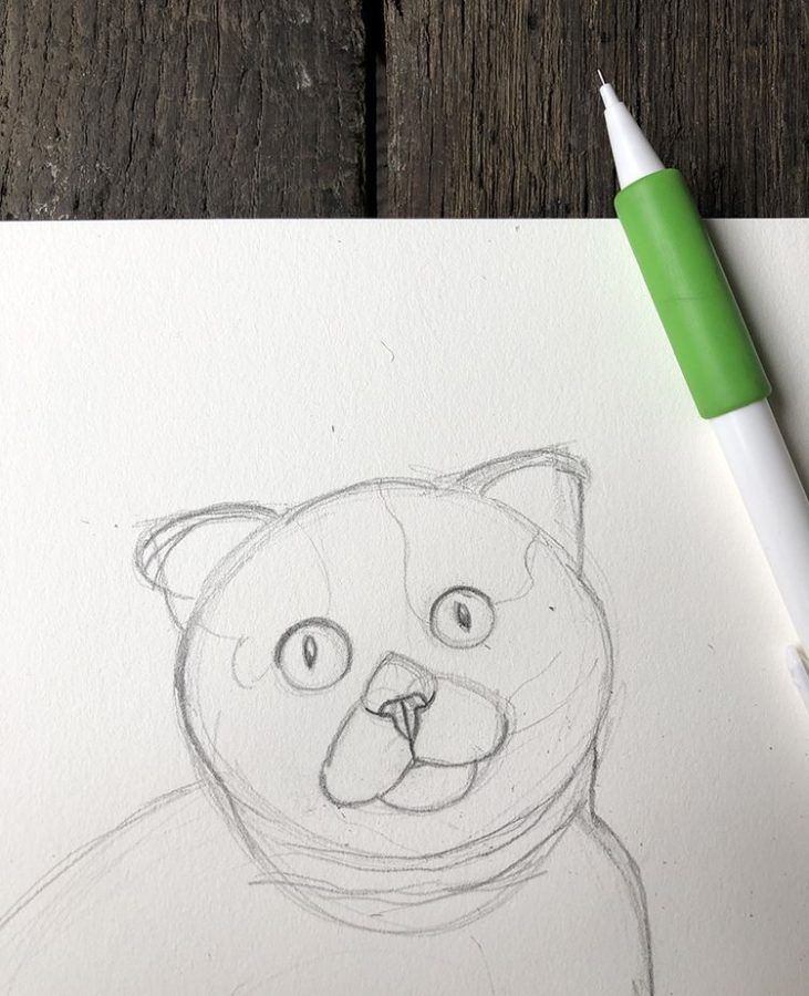 dessiner parfaitement votre chat 
