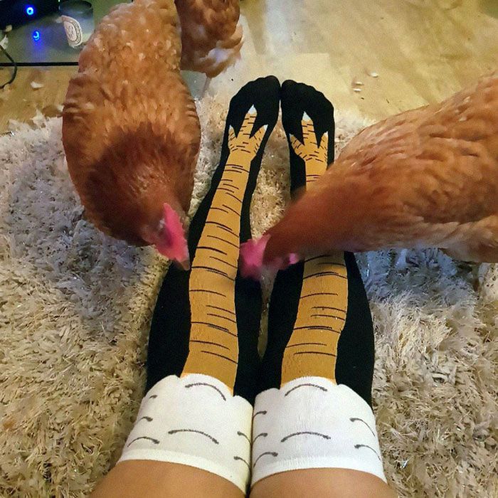 chaussettes pattes de poulet