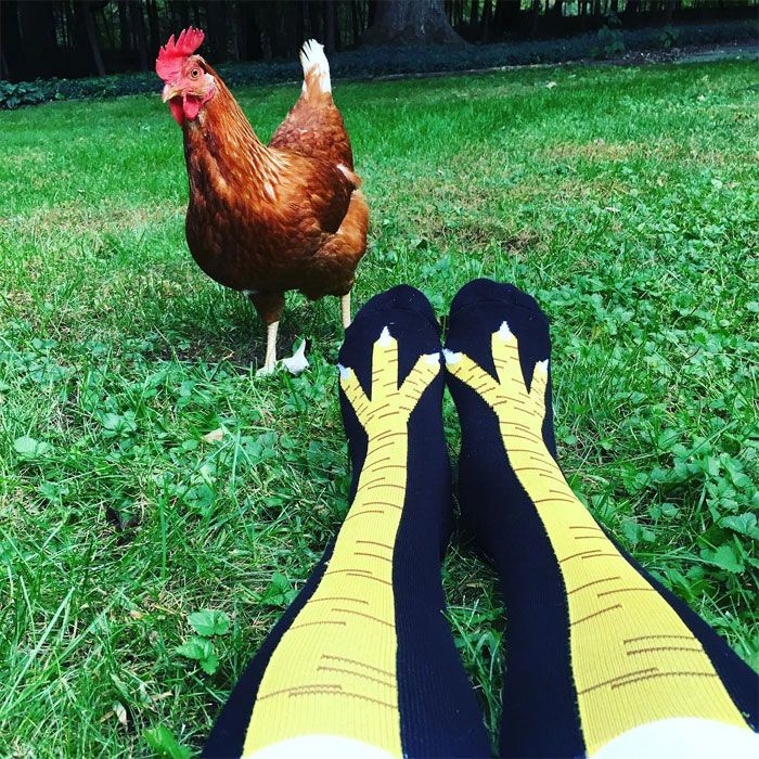 chaussettes pattes de poulet