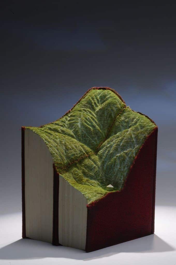 livres sculptés 