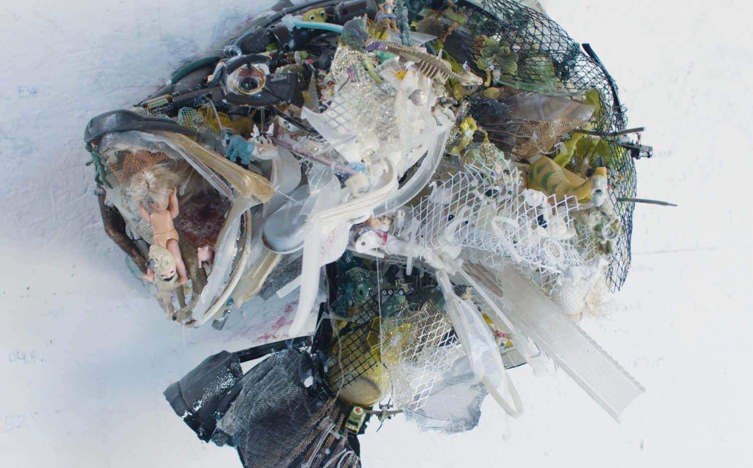Les déchets plastiques du monde une interview de Thomas Deininger