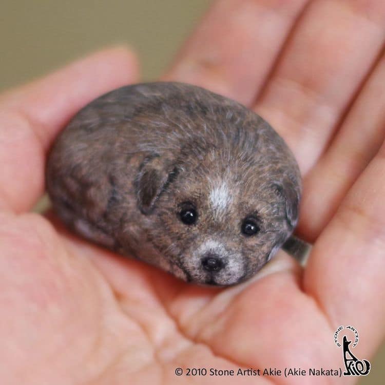 pierres ordinaires en adorables animaux