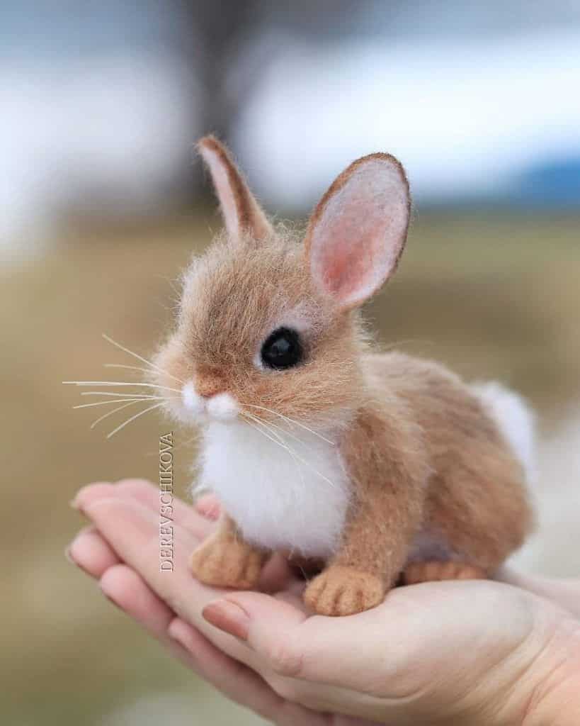 animaux en laine feutrée