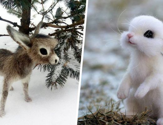 animaux en laine feutrée