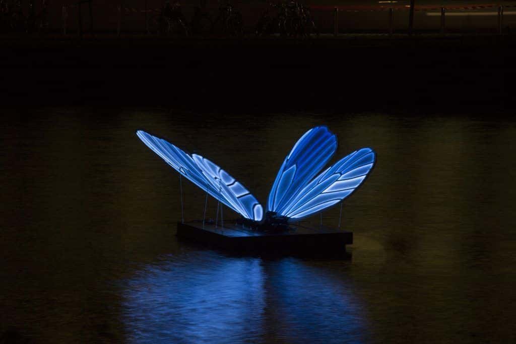 festival des lumières d'Amsterdam