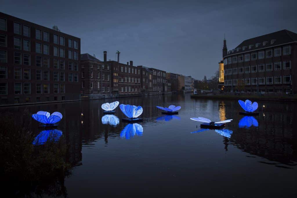 festival des lumières d'Amsterdam