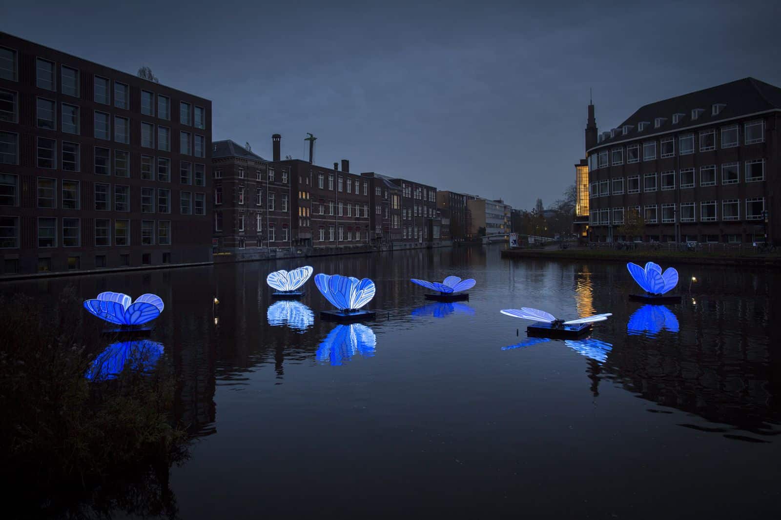 Le 8e festival des lumières d