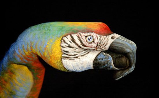 Guido Daniele