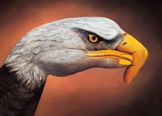 Guido Daniele