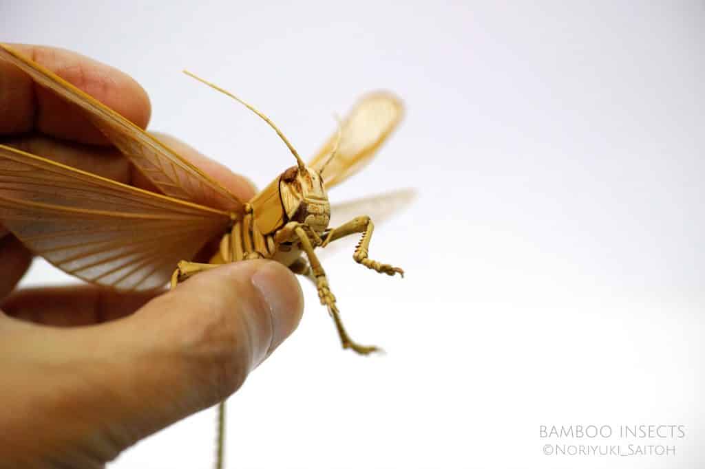 insectes en bambou