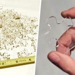 puzzle transparent