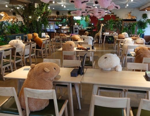 capybaras
