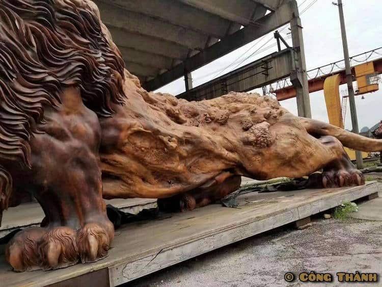 Lion géant sculpté dans un tronc d'arbre - La plus grande sculpture de séquoia du monde