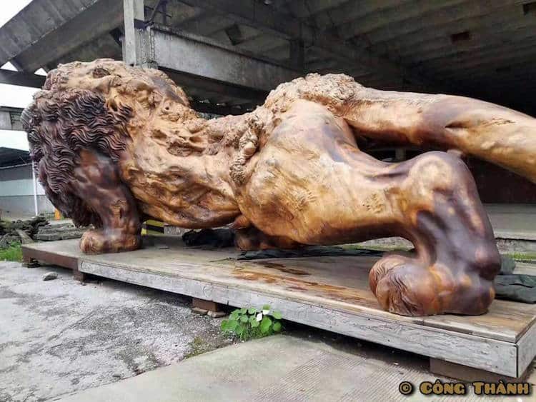Lion géant sculpté dans un tronc d'arbre - La plus grande sculpture de séquoia du monde