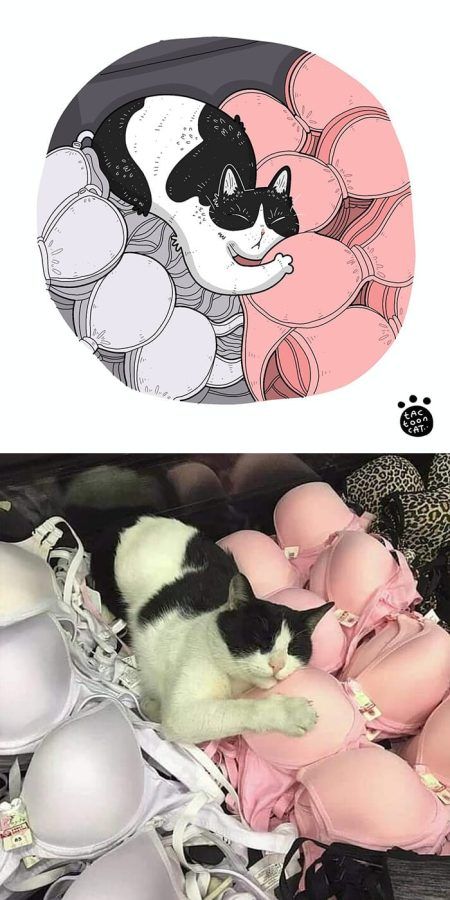 L'artiste apporte des mèmes oubliés de chats sous forme de dessins animés et c'est tellement purrfect