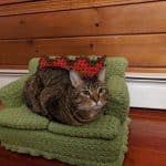 crochet pour leurs chats