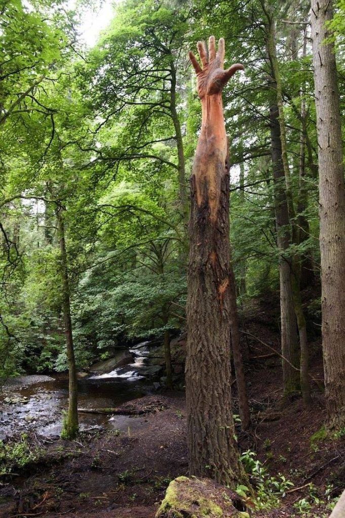 sculpter un arbre mort 