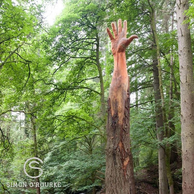 sculpter un arbre mort 