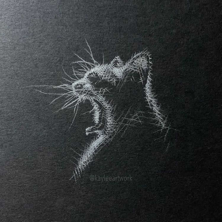 Les dessins au crayon blanc sur papier noir de Kay Lee - Dessein de dessin