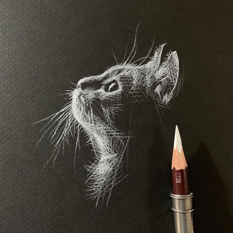 Ces Dessins Sublimes Sont Faits Avec Un Crayon Blanc Sur Du Papier Noir