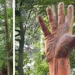 sculpter un arbre mort