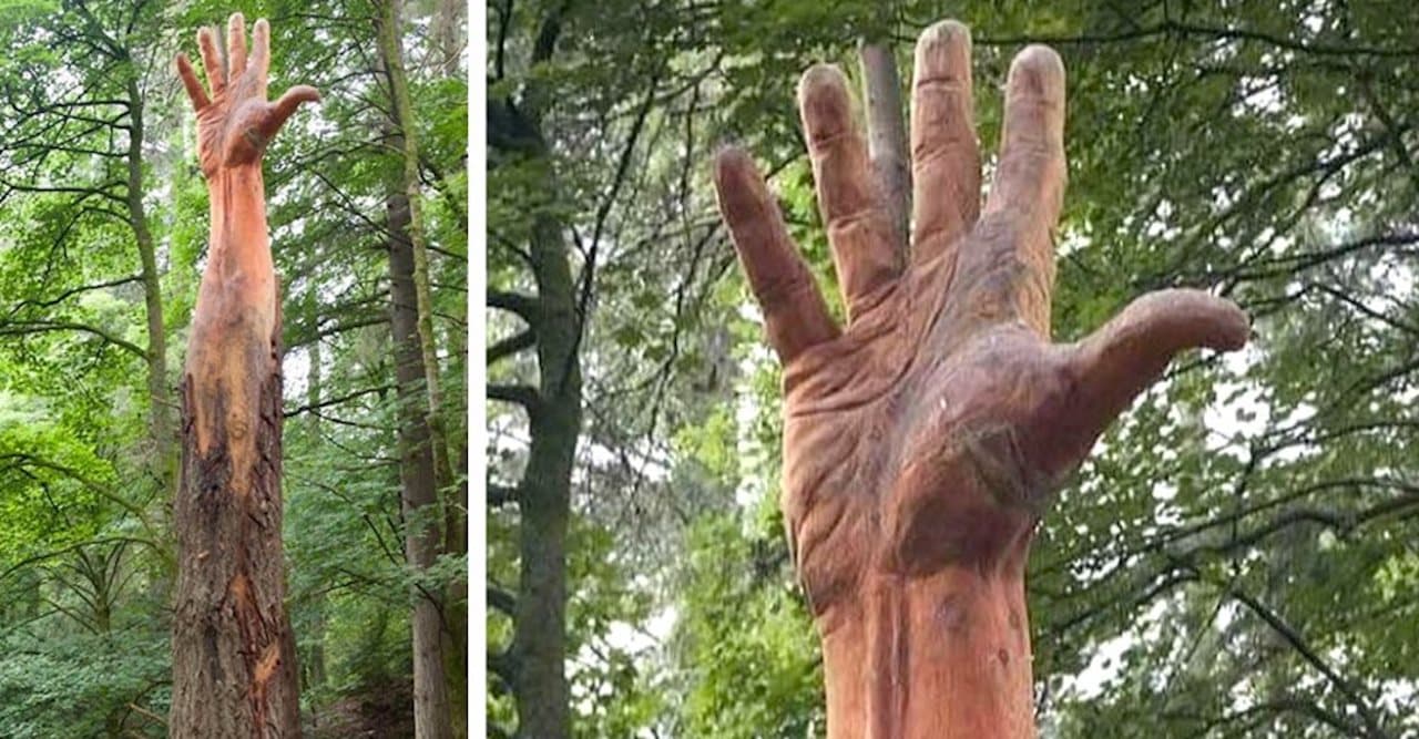 sculpter un arbre mort