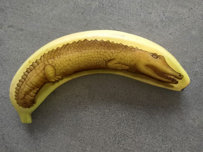 Art de la banane