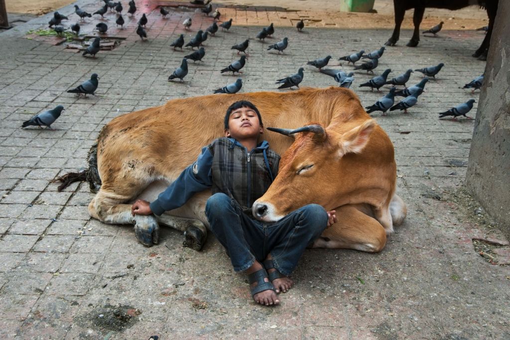 Steve McCurry