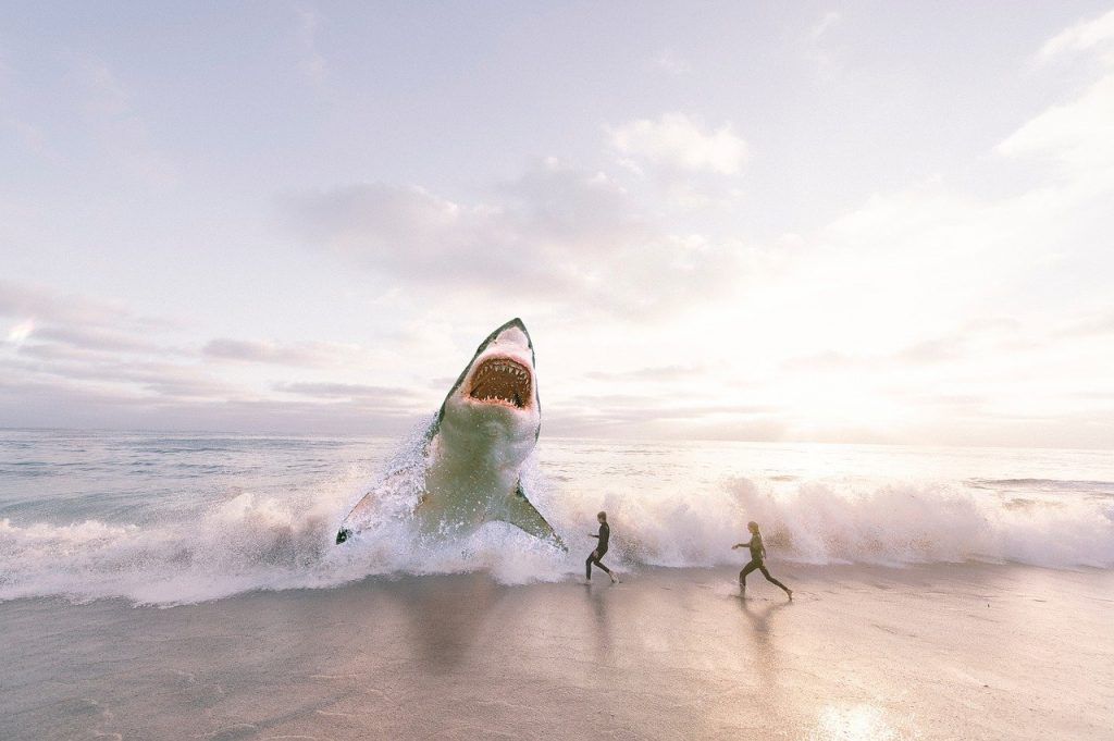 Les Dents de la mer