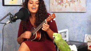 perroquet chante