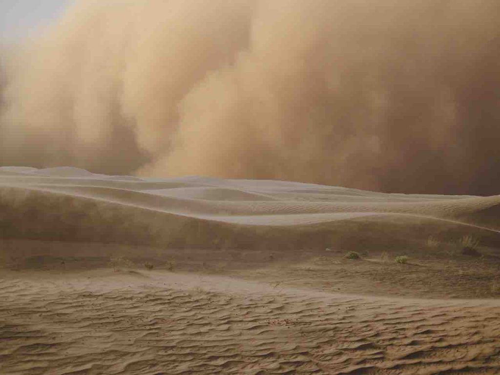 redoutables de la nature 