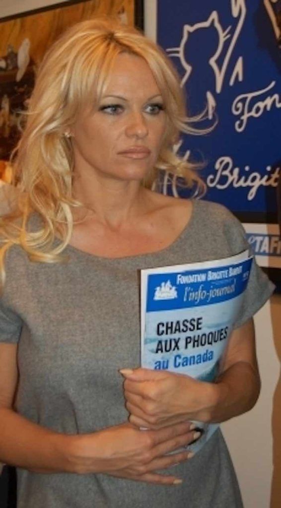 Pamela Anderson